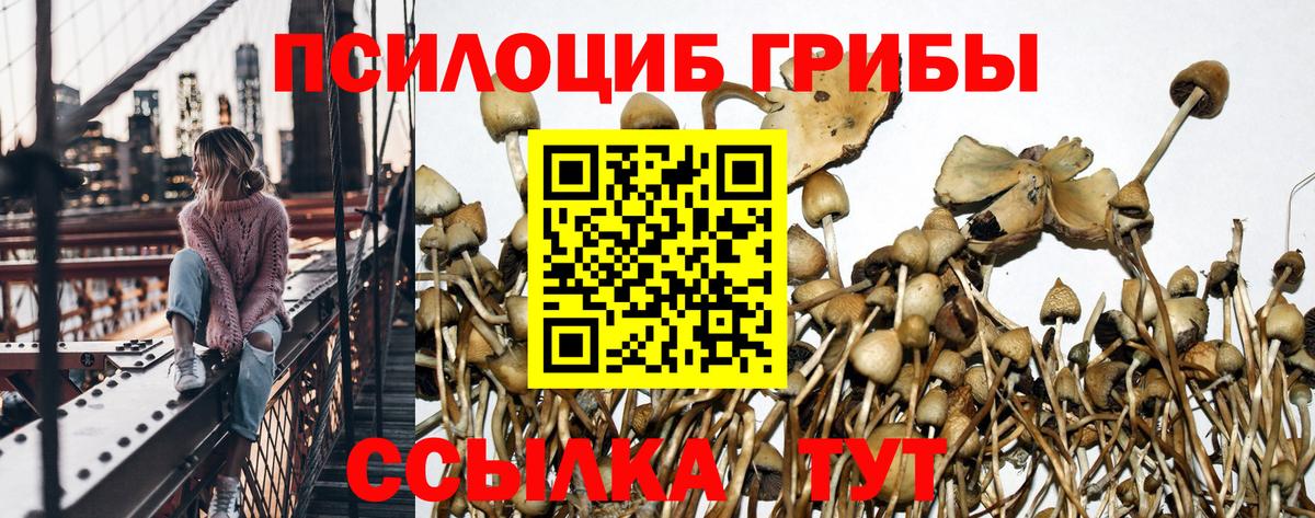 Партизанск  Галлюциногенные грибы мицелий  Вход с VPN 