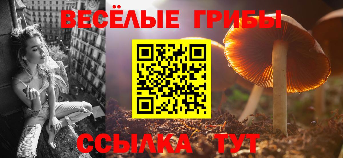 Галлюциногенные грибы прущие грибы Партизанск